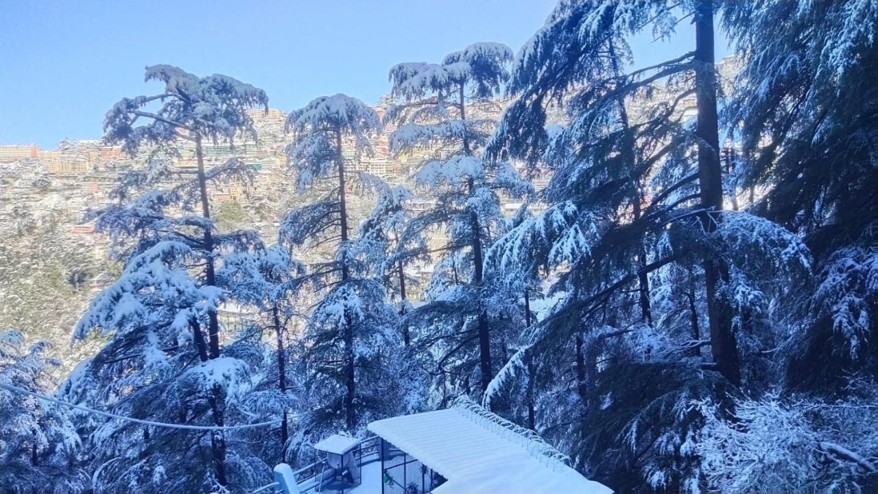 Mountain Zest-Simla Royale Near Mall Road-Free Pickup From Railway Station Simla Shimla Exterior photo