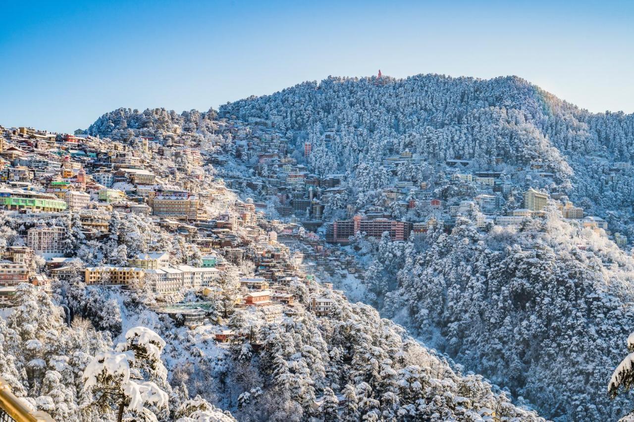Mountain Zest-Simla Royale Near Mall Road-Free Pickup From Railway Station Simla Shimla Exterior photo